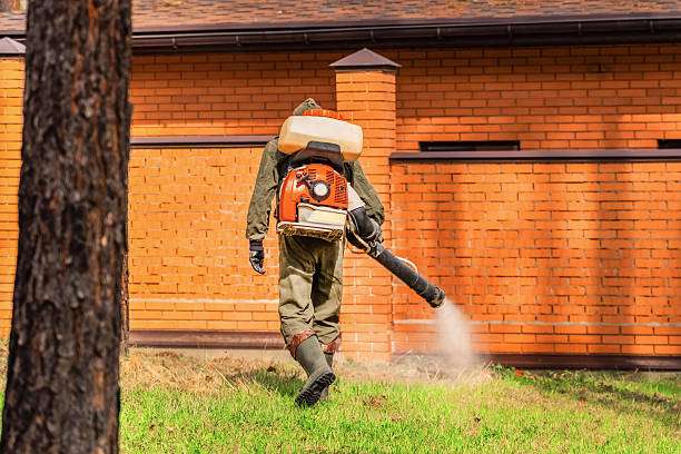 Top rated local Termite Control specialists in Northampton, PA